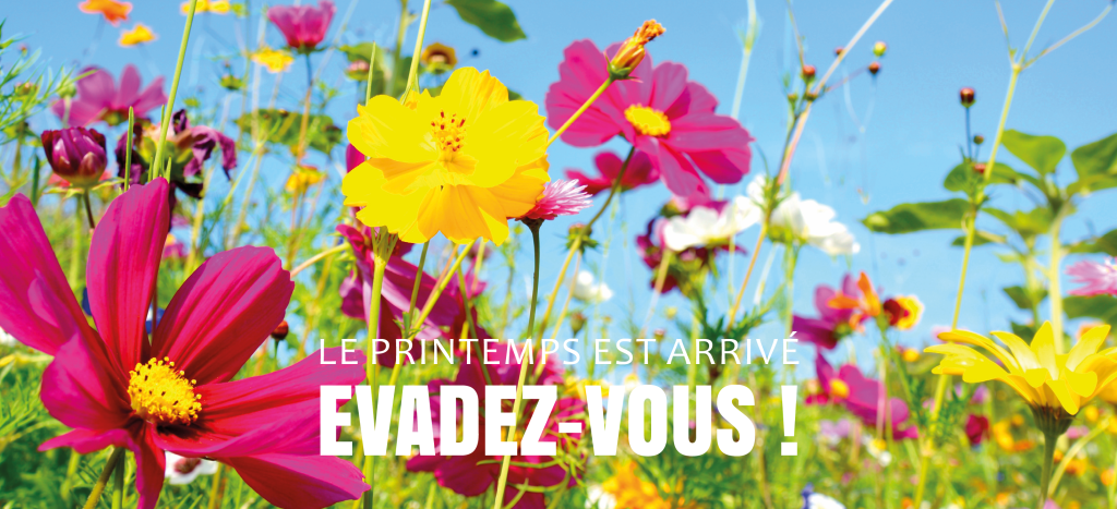 Le printemps est arrivé
