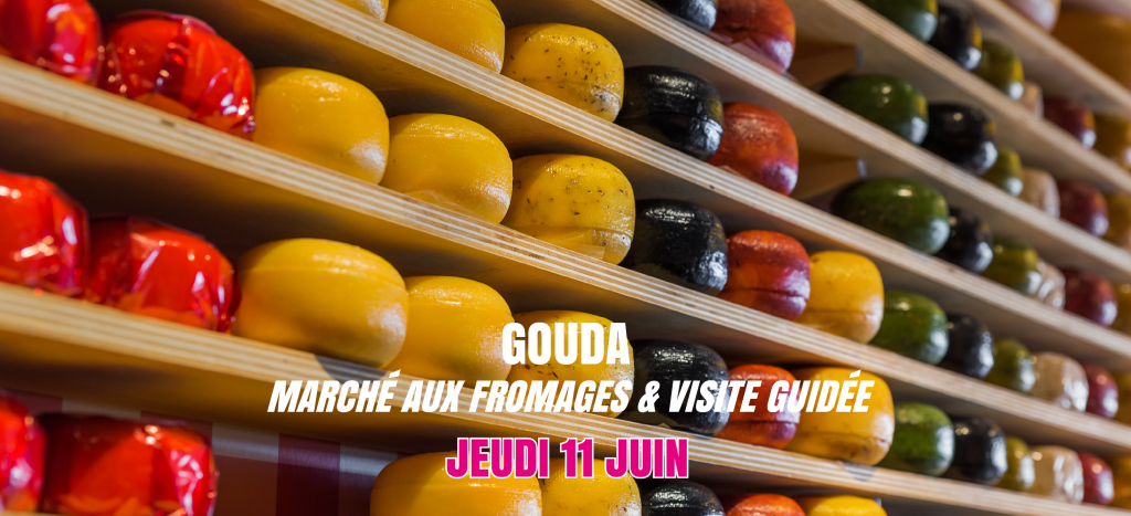 Gouda