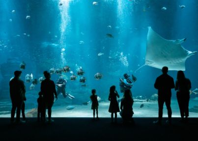  - Image 1